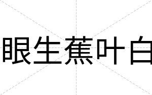 眼生蕉叶白 眼生蕉叶白