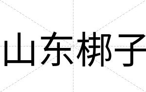 山东梆子 山东梆子