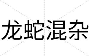 龙蛇混杂