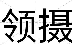 领摄