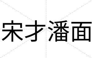 宋才潘面 宋才潘面