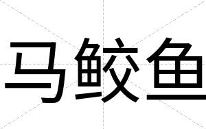 马鲛鱼