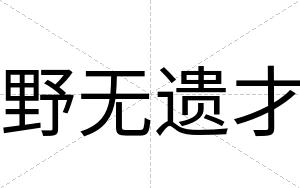 野无遗才 野无遗才