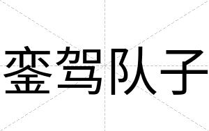 銮驾队子