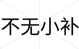 不无小补 不无小补