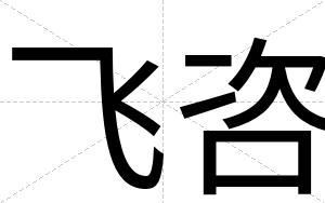 飞咨