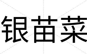 银苗菜