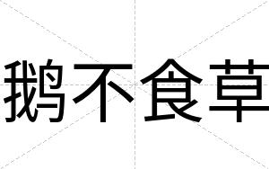 鹅不食草 鹅不食草