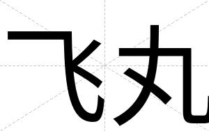飞丸