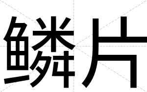 鳞片