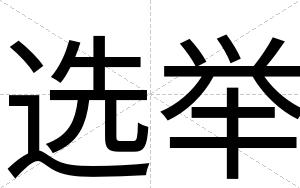 选举