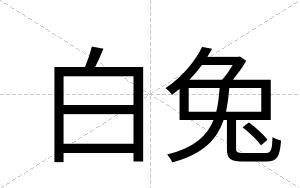 白兔 白兔