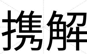 携解