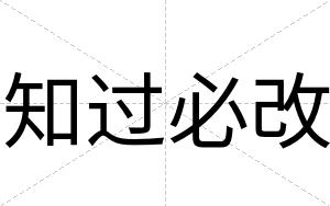 知过必改
