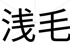 浅毛