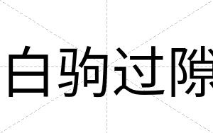 白驹过隙 白驹过隙