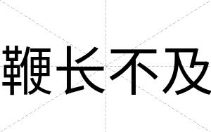 鞭长不及