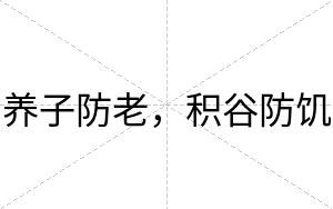 养子防老，积谷防饥