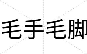 毛手毛脚