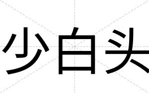 少白头 少白头