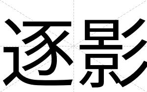 逐影