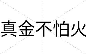 真金不怕火 真金不怕火