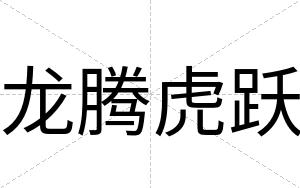 龙腾虎跃