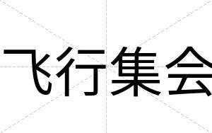 飞行集会