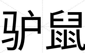 驴鼠