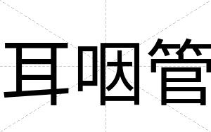 耳咽管