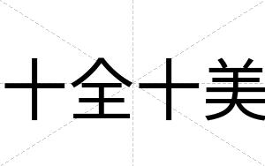 十全十美