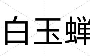 白玉蝉 白玉蝉