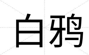 白鸦 白鸦