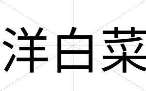 洋白菜 洋白菜