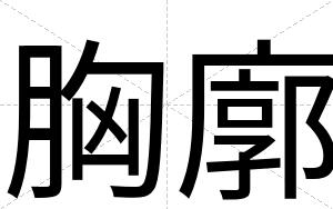胸廓