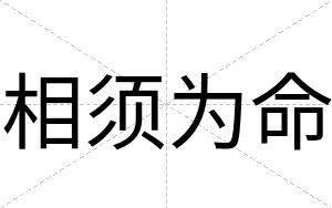 相须为命