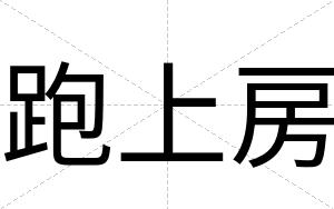 跑上房