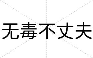 无毒不丈夫 无毒不丈夫