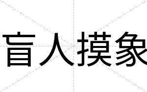 盲人摸象