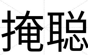 掩聪