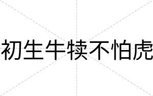 初生牛犊不怕虎 初生牛犊不怕虎
