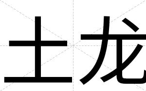 土龙
