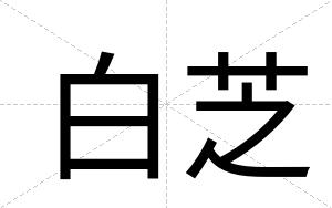 白芝 白芝