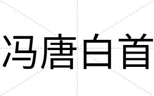 冯唐白首 冯唐白首