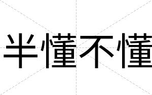 半懂不懂 半懂不懂