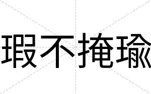 瑕不掩瑜 瑕不掩瑜