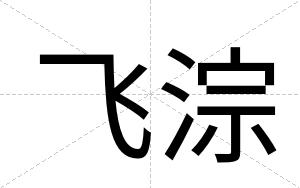 飞淙