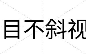 目不斜视 目不斜视