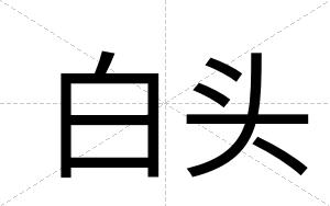 白头 白头