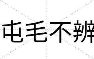 屯毛不辨 屯毛不辨
